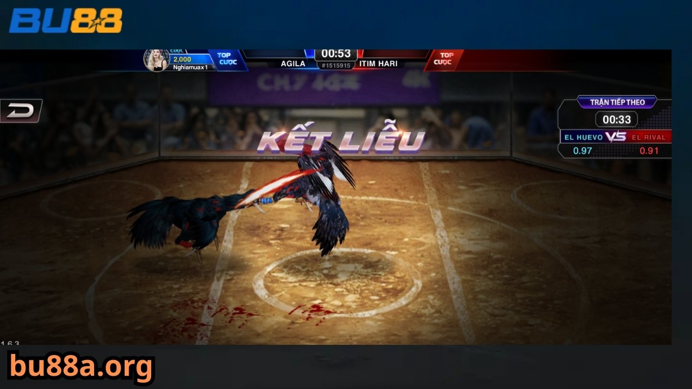 Các thể loại cược đá gà BU88